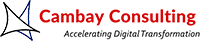 Cambay Consulting LLC - Logo